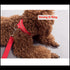 Pet Dog LED Collar Harness Led Usb Rechargeable Luminous Dog Collars Night Dog Collars Glow Night Flashing Glow Pet Collar XS-L