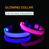 Pet Dog LED Collar Harness Led Usb Rechargeable Luminous Dog Collars Night Dog Collars Glow Night Flashing Glow Pet Collar XS-L