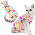 Puppy Dog Cat Clothes Recovery Suit Sterilization Care Wipe Medicine Prevent After Surgery Wear Anti Pet Licking Wounds Outfits
