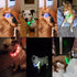 panDaDa Led Dog Collar Usb Pet Dog Luminous Collar Night Collar for Dogs Rechargeable Safety Flashing Glow Glowing