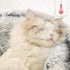 Winter Cat Bed Round Plush Warm Soft Pet Bed Soft Long Plush Bed For Small Dogs Cats Nest 2 In 1 Cat Bed Puppy Sleeping Bag