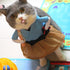 Halloween Cute Pet Clothes Samurai Funny Upright Costume Dress Up For Cats Dogs Cosplay Clothing Photography Props