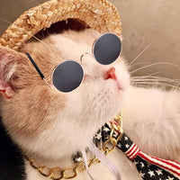 4 Pcs Cool Pet Dog Cat Costume Fashion Sunglasses Chain Collar Straw Hat Tie Set