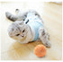 New Cat Puppy Clothes Recovery Suit Sterilization Care Wipe Medicine Prevent After Surgery Wear Anti Pet Licking Wounds Clothes