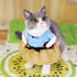 Funny Cat Dog Clothes Pet clothing Cosplay Role playing Suit Pirate Suit Halloween Clothes Dressing Up Cat Party Costume Suit