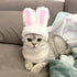1pc Short Plush Cute Cartoon Rabbit Ear Pet Cat Dog Puppy Hat Cap Halloween Costume Cosplay Masquerade Party Gift Pet Supplies