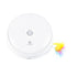 Electric Cat Toy Smart Teasing Cat Stick Crazy Game Spinning Turntable Cat Catching Mouse Donut Automatic Turntable Cat Toy