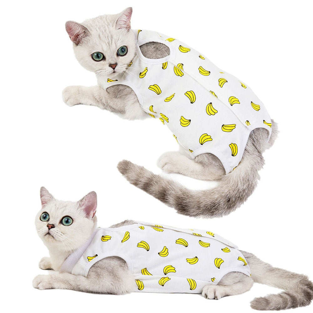 Dropship Sterilization Clothing For Cats In Summer, Thin Female Cat  Surgical Clothes, Weaning Clothing, Licking-proof And Hair-shedding-proof  Clothing For Cats After Ventilation to Sell Online at a Lower Price