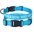 Airuidog Adjustable Nylon Dog Collar Personalized Embroidered Padded Dog Collar Puppy ID Collars Reflective