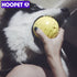 HOOPET Dog Training Ball Chewing Toy Safety Rubber Dog Toys Bite Resistant