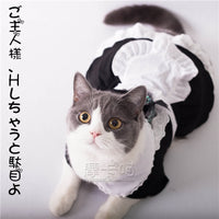 Pet sweet clothes cat clothes cat maid uniforms dress Japan Polyester cotton dress
