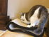 Cat Scratcher Lounge Fat Cat Bed Cardboard Paper High Quality Cat Toy Scratching Pad