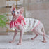 Sphynx Cat Outfits flower Cute Strawberry puff Sleeve Dresses for Cats Hairless Cat Clothes Summer Thin Sleeveless Skirt