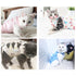 Cat Sterilization Clothing Weaning Postoperative Anti-mite Clothes Thin Section Breathable Four-legged Pet Costume