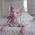 Sphynx Cat Outfits flower Cute Strawberry puff Sleeve Dresses for Cats Hairless Cat Clothes Summer Thin Sleeveless Skirt