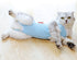 New Cat Puppy Clothes Recovery Suit Sterilization Care Wipe Medicine Prevent After Surgery Wear Anti Pet Licking Wounds Clothes