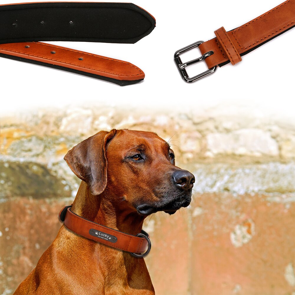 Luxury Custom Tag Pet Accessories Durable Genuine Leather Dog