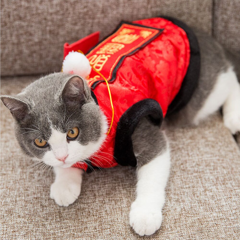 Chinese New Year Cat Costume,Pet Clothes New Year Clothes Cloak with Wsih  Bag for Cats Small Dogs (Gold)