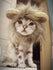 Funny Pet Cosplay Cat Clothes Cap Clothes for Cat Lion Mane Cats Warm Lion Hair Wig New Year Party Christmas Cosplay Accessories