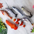 Moving Fish Cat Toy Electronic Flopping Cat Kicker Fish Toy Catnip Fish Toys for Cats Pet Supplies Funny Chew Toy for Indoor Cat