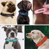 Leather Dog Collar Personalized for Small Large Dogs Big Luxury Dog Collars Name Engraved Small Dog Collar Leather of Large 101