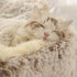 Hot Plush Pet Dog Cat Bed House Warm Round Cat Kitten Bed Semi-Enclosed Winter Cat Nest Kennel Cats Sofa Mat Basket Sleeping Bag