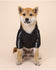 Pet Dog Winter Waterproof Coat Puppy Warm Jacket The Dog Face Hoodie Reflective Clothing For Small Medium Dogs Cat Pet Clothes