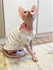 Sphynx Cat Outfits flower Cute Strawberry puff Sleeve Dresses for Cats Hairless Cat Clothes Summer Thin Sleeveless Skirt